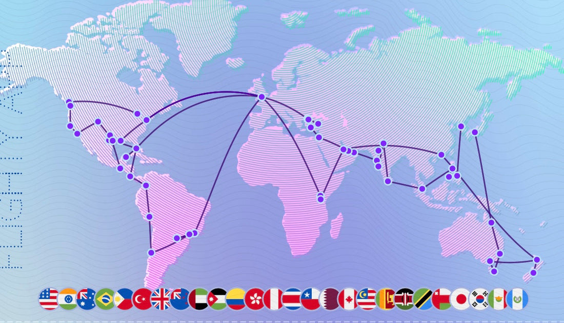 Travel Wrapped 2024: A Year of Adventure, Miles, and Memories